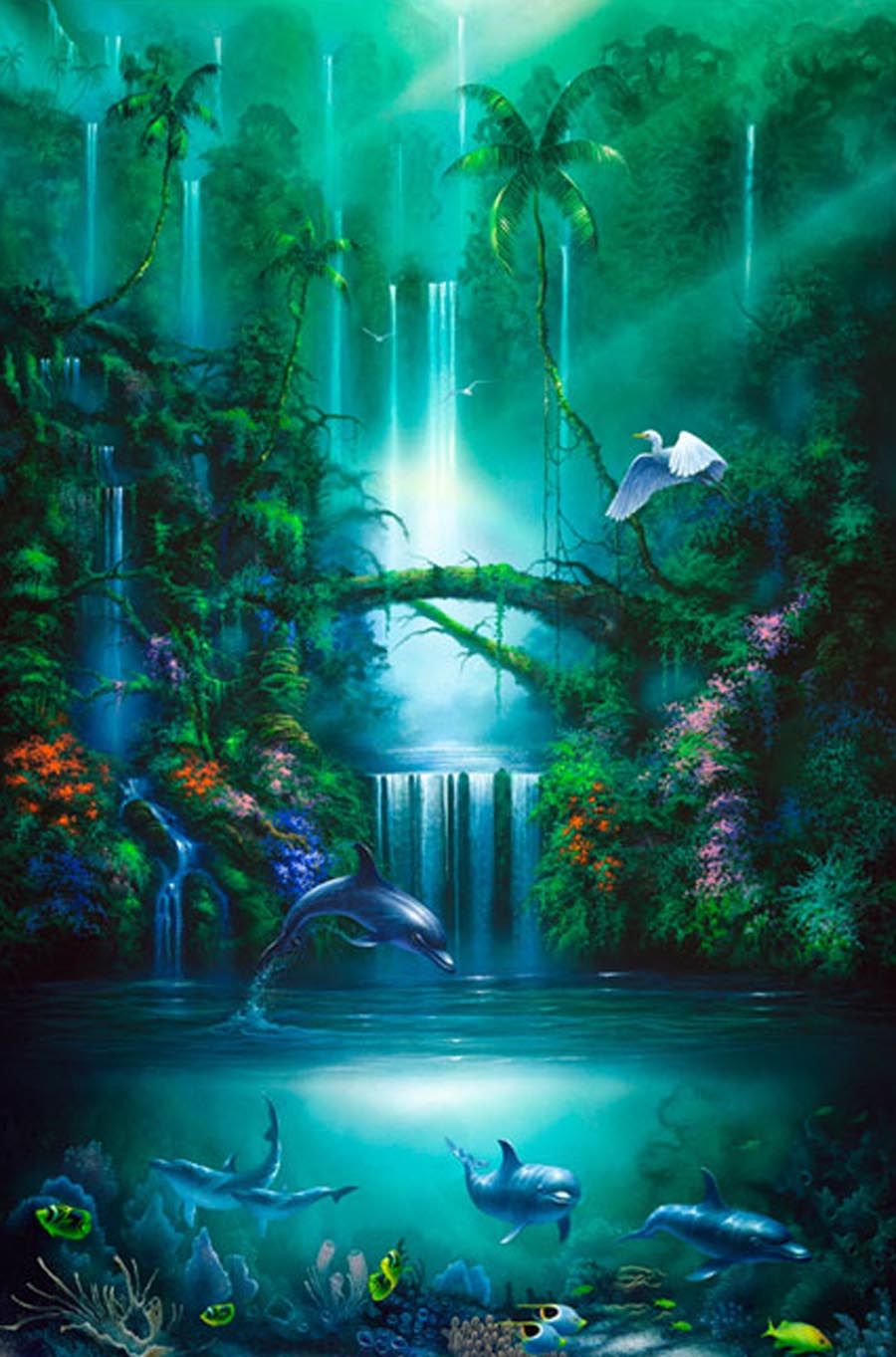David Miller Waterfalls